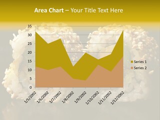 California Roll PowerPoint Template
