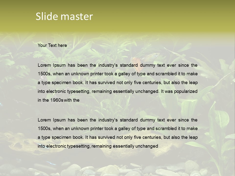 Tropical Freshwater Aquarium With Colorful Fish And Green Plants PowerPoint Template