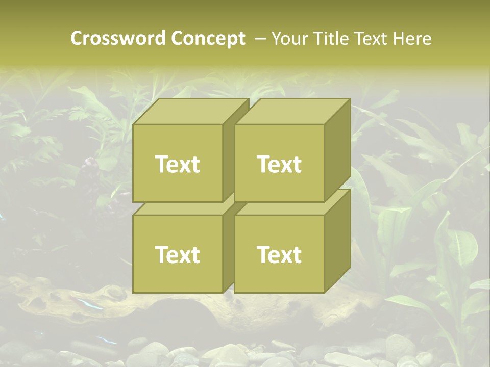 Tropical Freshwater Aquarium With Colorful Fish And Green Plants PowerPoint Template