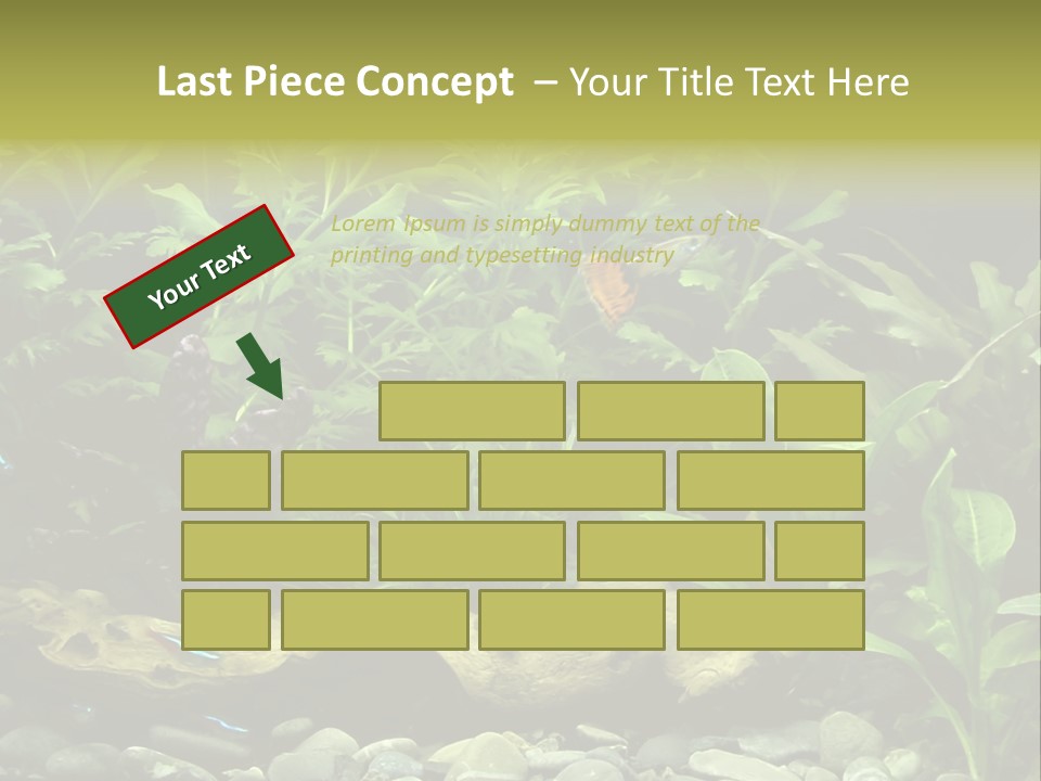 Tropical Freshwater Aquarium With Colorful Fish And Green Plants PowerPoint Template