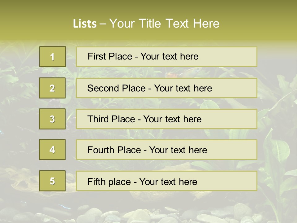 Tropical Freshwater Aquarium With Colorful Fish And Green Plants PowerPoint Template
