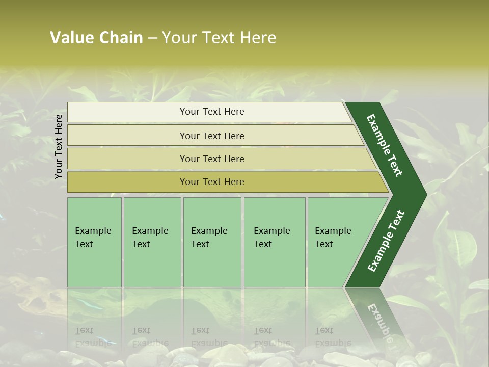 Tropical Freshwater Aquarium With Colorful Fish And Green Plants PowerPoint Template