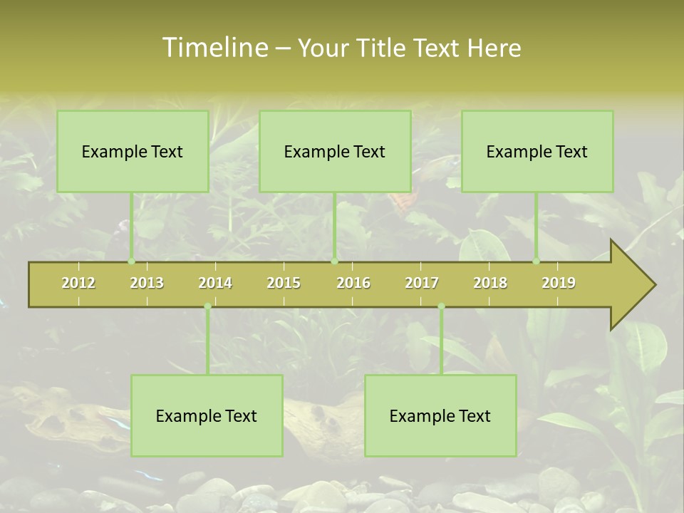 Tropical Freshwater Aquarium With Colorful Fish And Green Plants PowerPoint Template