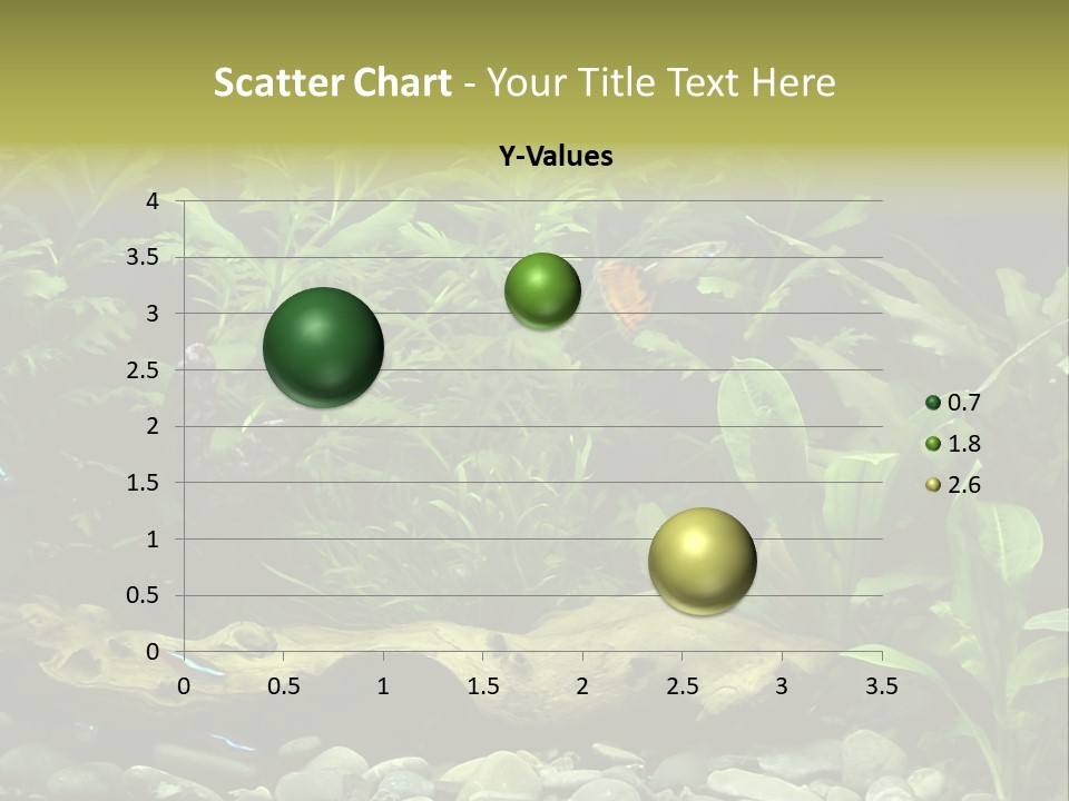 Tropical Freshwater Aquarium With Colorful Fish And Green Plants PowerPoint Template