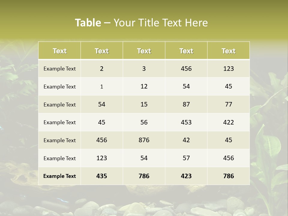 Tropical Freshwater Aquarium With Colorful Fish And Green Plants PowerPoint Template