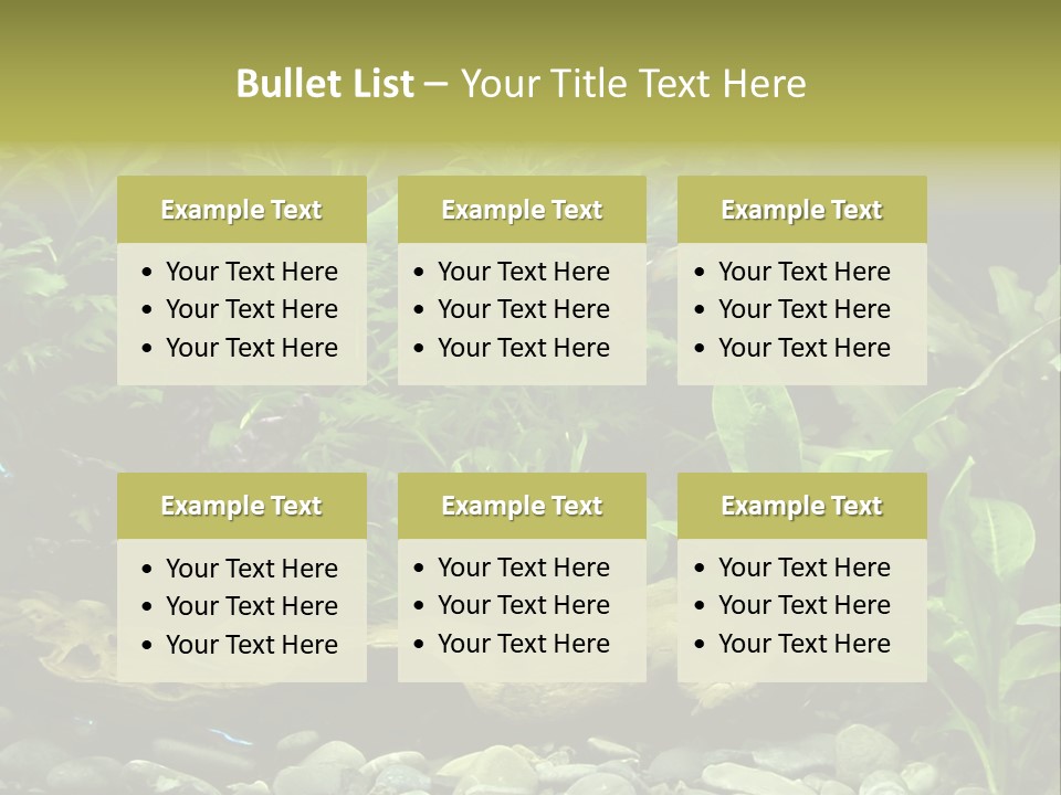 Tropical Freshwater Aquarium With Colorful Fish And Green Plants PowerPoint Template