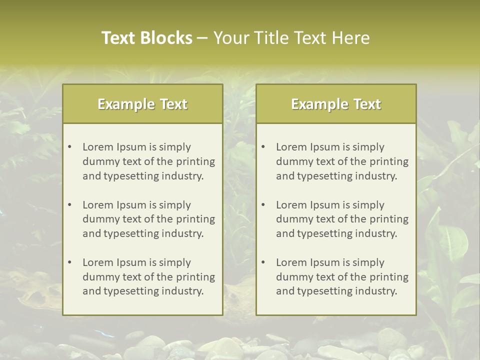 Tropical Freshwater Aquarium With Colorful Fish And Green Plants PowerPoint Template