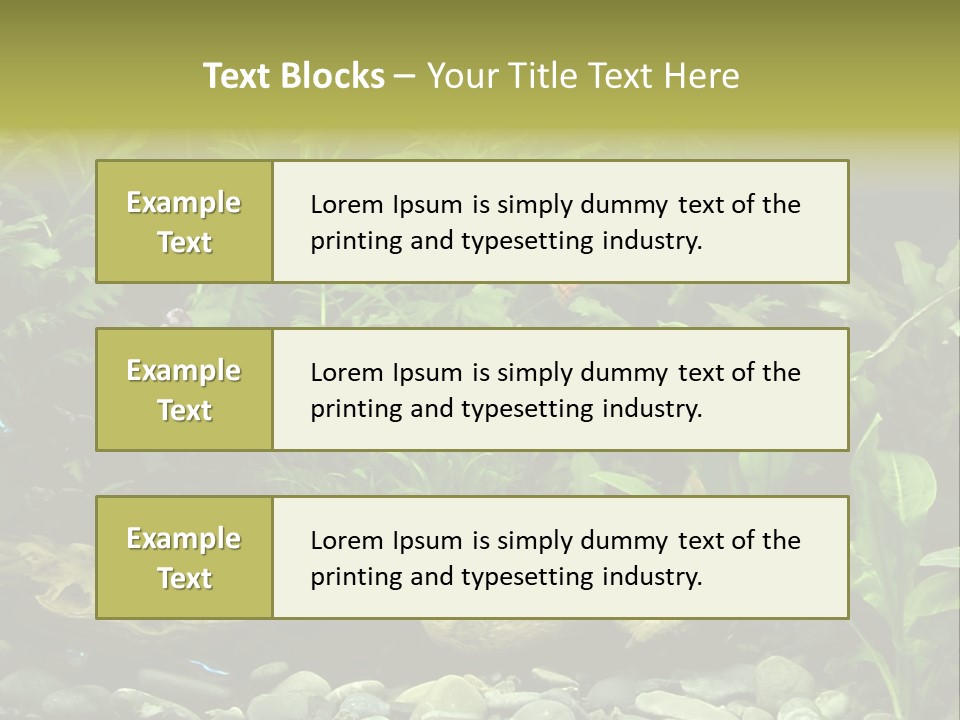 Tropical Freshwater Aquarium With Colorful Fish And Green Plants PowerPoint Template