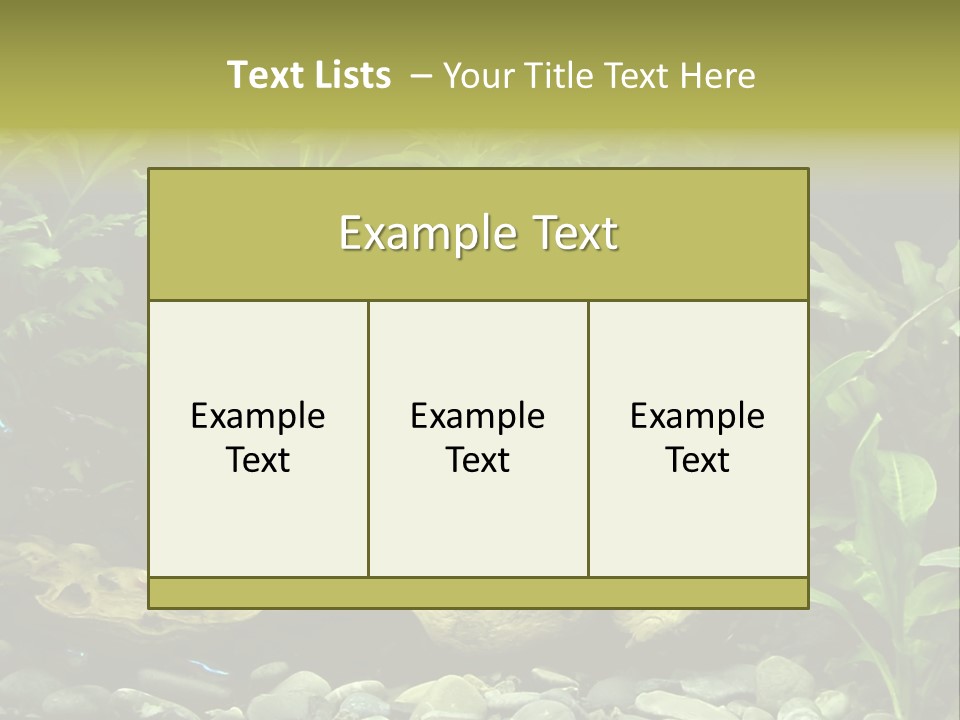 Tropical Freshwater Aquarium With Colorful Fish And Green Plants PowerPoint Template