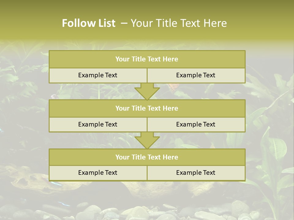 Tropical Freshwater Aquarium With Colorful Fish And Green Plants PowerPoint Template