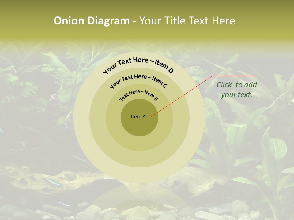 Tropical Freshwater Aquarium With Colorful Fish And Green Plants PowerPoint Template