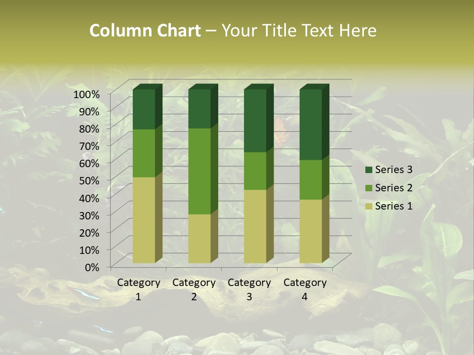 Tropical Freshwater Aquarium With Colorful Fish And Green Plants PowerPoint Template