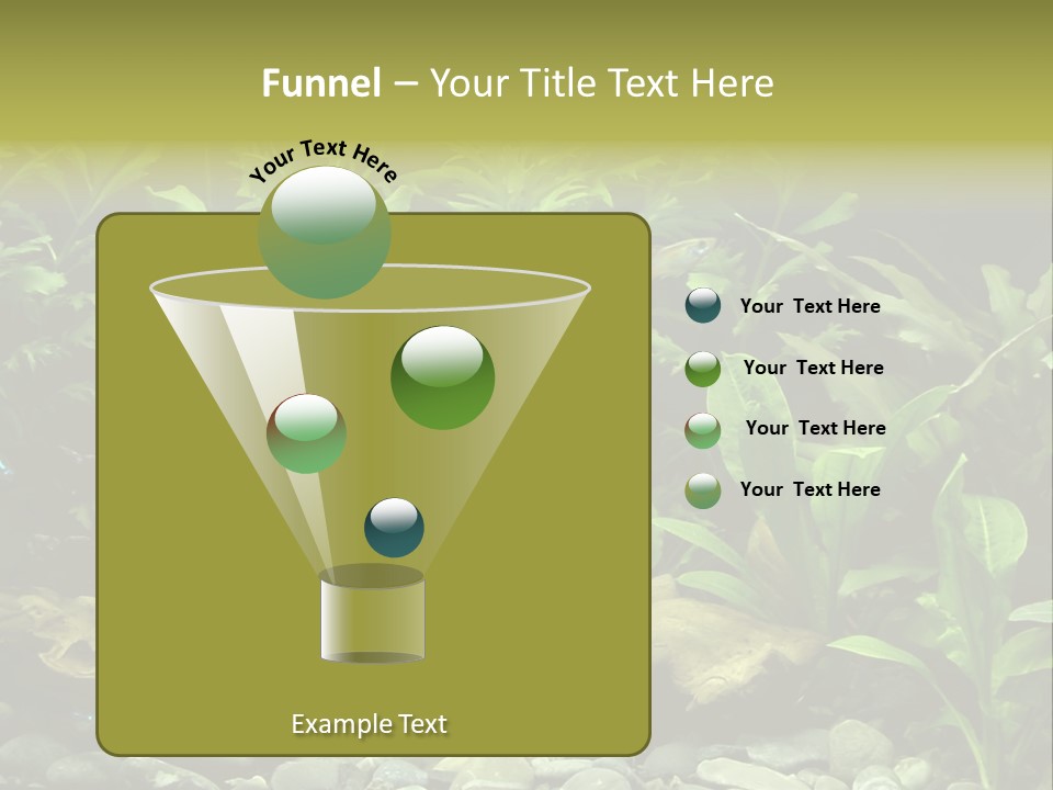 Tropical Freshwater Aquarium With Colorful Fish And Green Plants PowerPoint Template