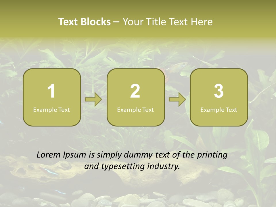 Tropical Freshwater Aquarium With Colorful Fish And Green Plants PowerPoint Template