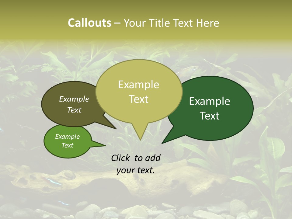 Tropical Freshwater Aquarium With Colorful Fish And Green Plants PowerPoint Template