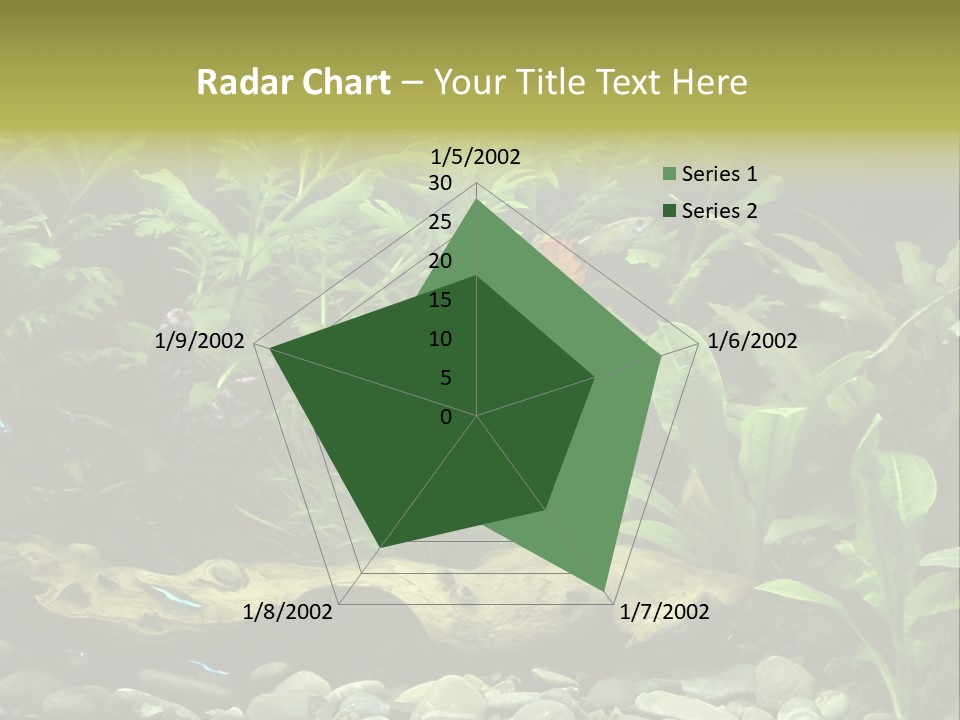 Tropical Freshwater Aquarium With Colorful Fish And Green Plants PowerPoint Template