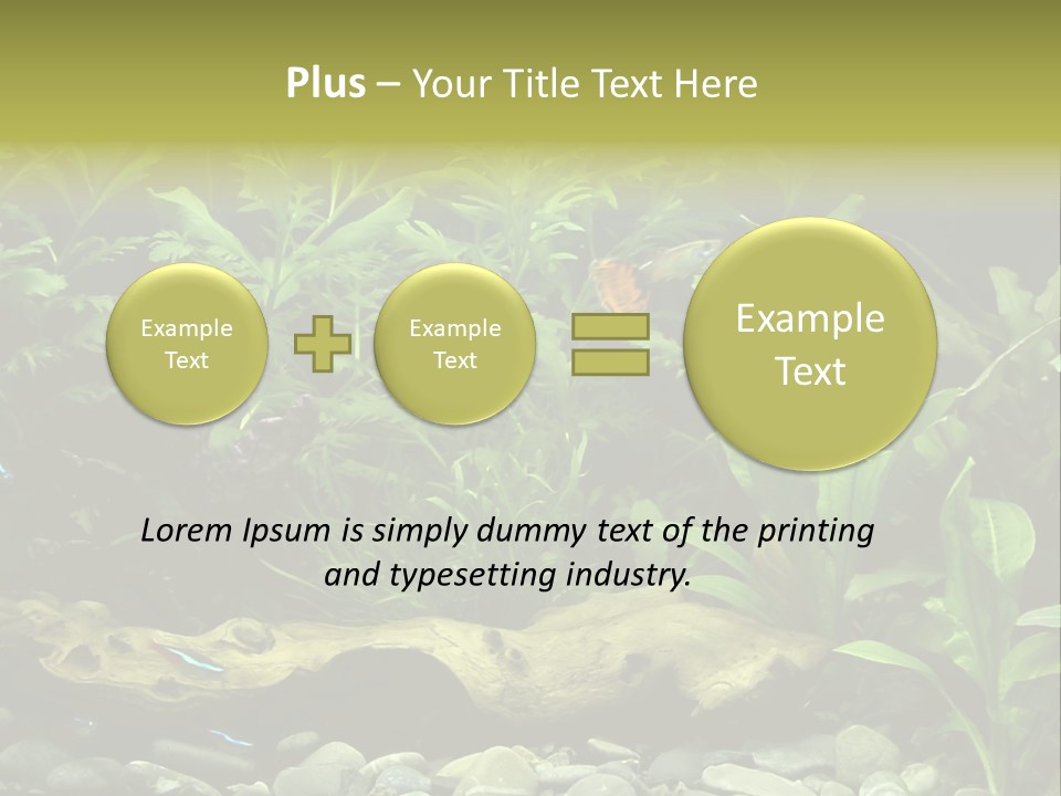 Tropical Freshwater Aquarium With Colorful Fish And Green Plants PowerPoint Template