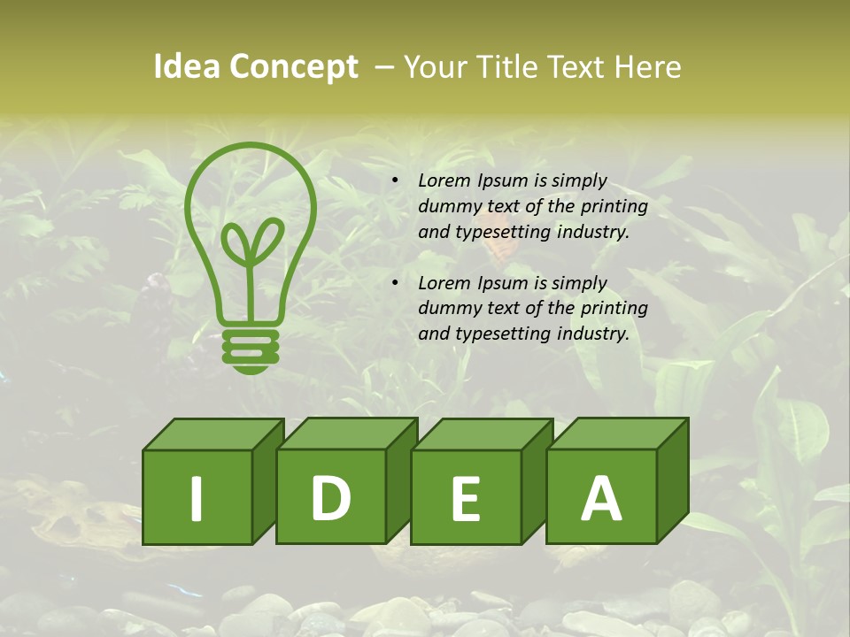 Tropical Freshwater Aquarium With Colorful Fish And Green Plants PowerPoint Template