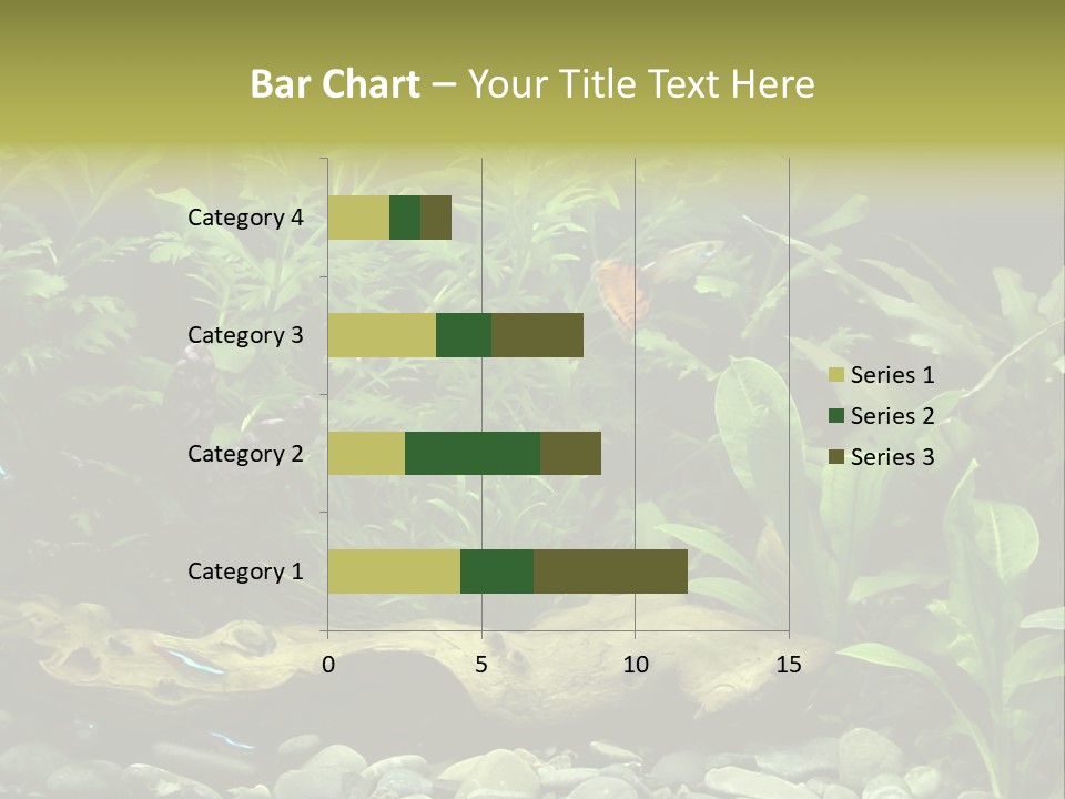 Tropical Freshwater Aquarium With Colorful Fish And Green Plants PowerPoint Template