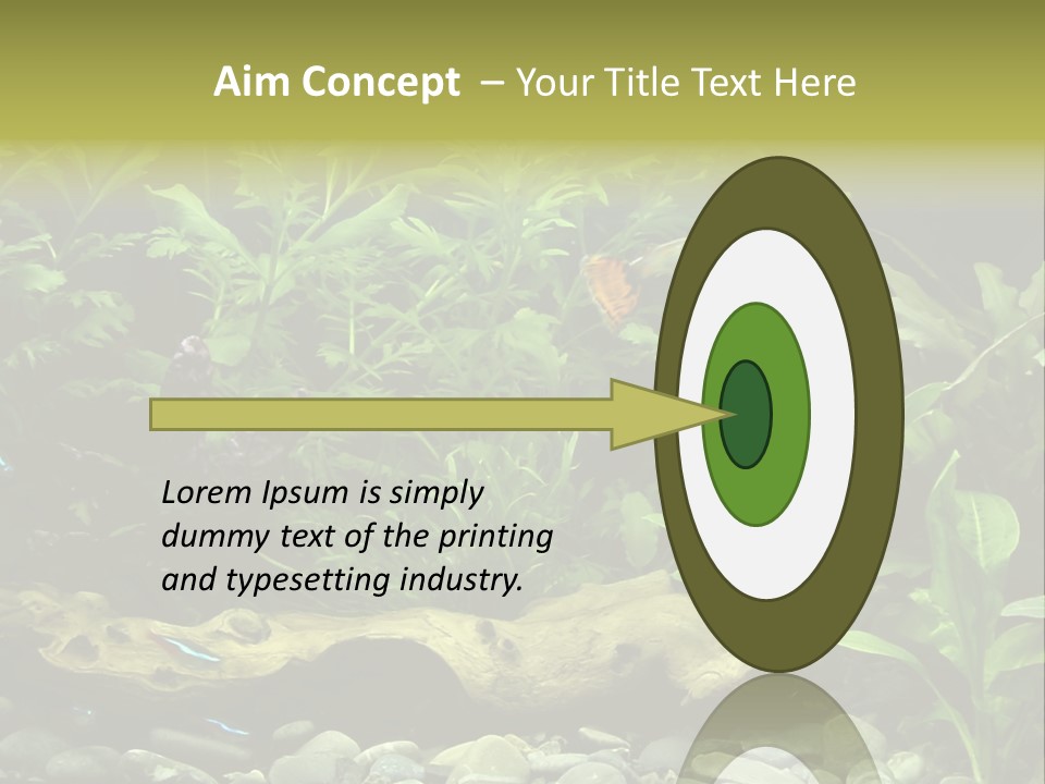 Tropical Freshwater Aquarium With Colorful Fish And Green Plants PowerPoint Template