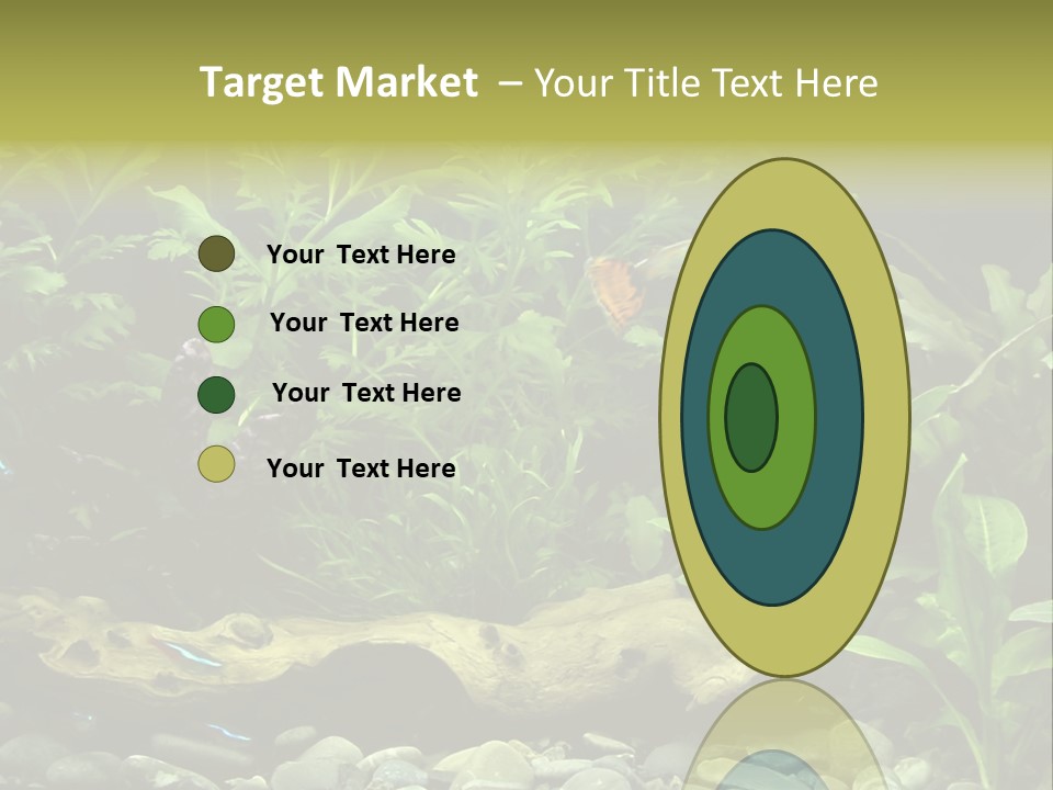 Tropical Freshwater Aquarium With Colorful Fish And Green Plants PowerPoint Template