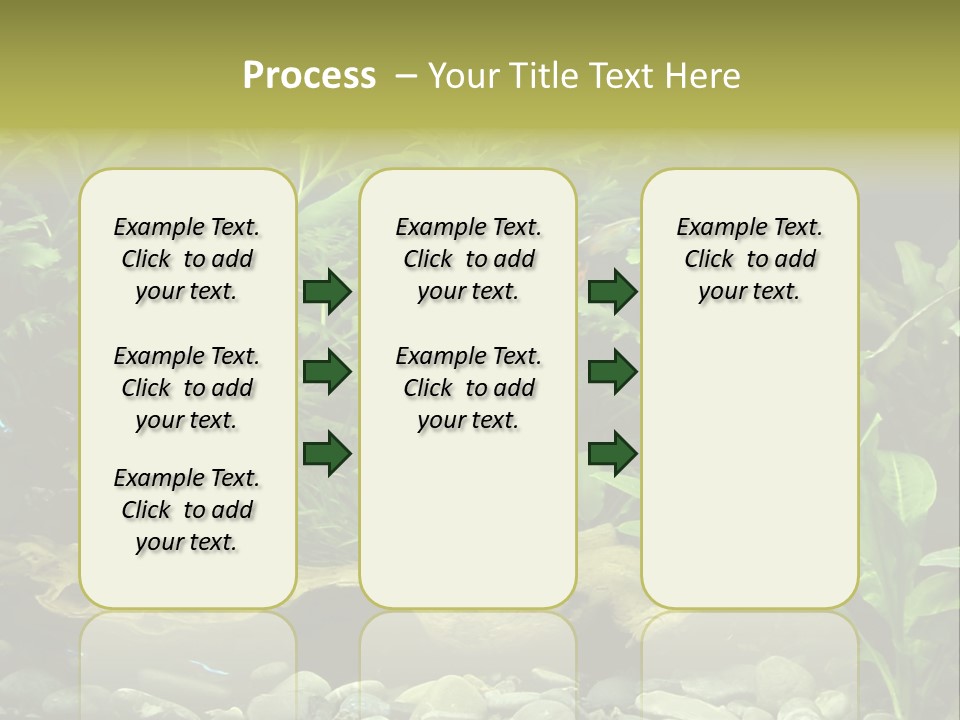 Tropical Freshwater Aquarium With Colorful Fish And Green Plants PowerPoint Template