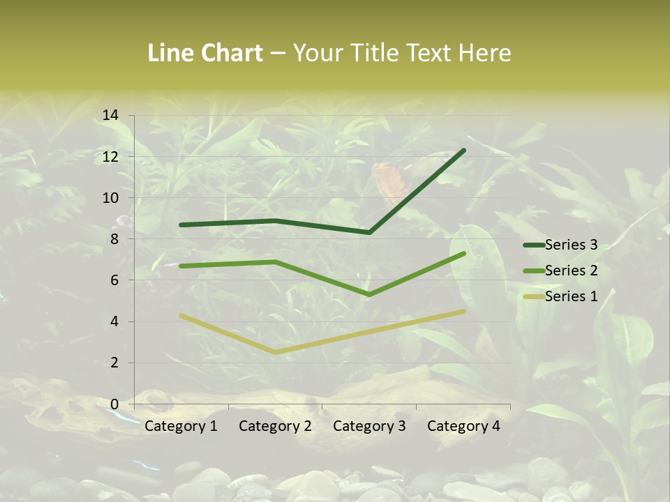 Tropical Freshwater Aquarium With Colorful Fish And Green Plants PowerPoint Template