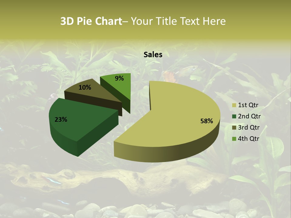 Tropical Freshwater Aquarium With Colorful Fish And Green Plants PowerPoint Template