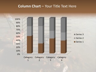 A Fisherman And His Two Dogs Fish For Salmon In Squamish, Bc, Canada PowerPoint Template