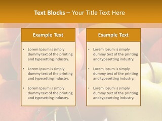 Young Woman Shouting At Another Woman Through A Megaphone PowerPoint Template