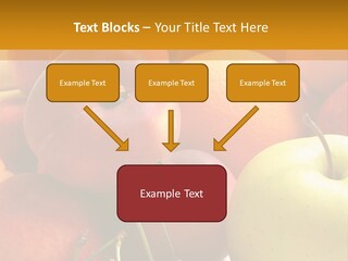 Young Woman Shouting At Another Woman Through A Megaphone PowerPoint Template