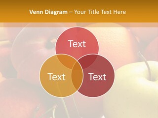 Young Woman Shouting At Another Woman Through A Megaphone PowerPoint Template