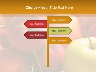 Young Woman Shouting At Another Woman Through A Megaphone PowerPoint Template