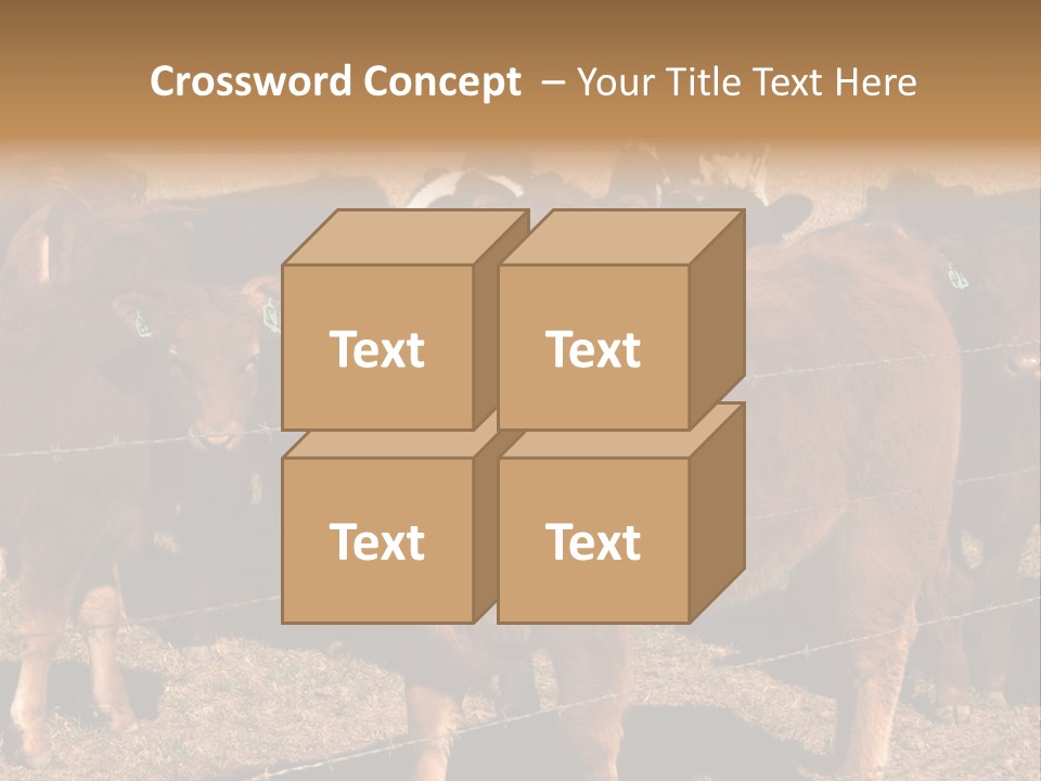 Staring Cow PowerPoint Template