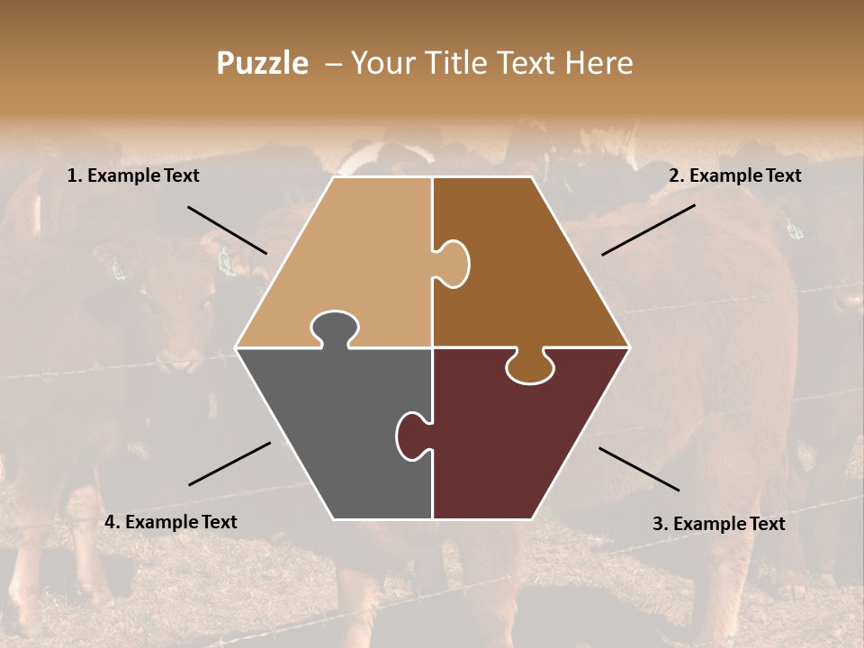 Staring Cow PowerPoint Template