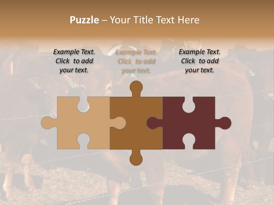 Staring Cow PowerPoint Template