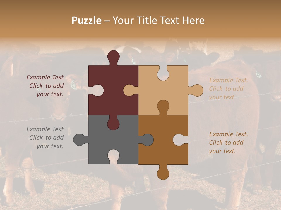 Staring Cow PowerPoint Template