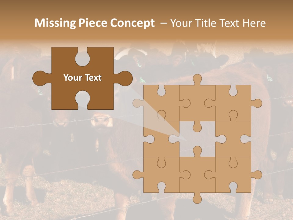 Staring Cow PowerPoint Template