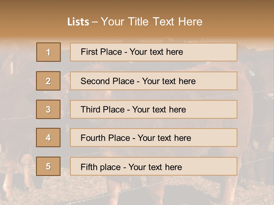 Staring Cow PowerPoint Template