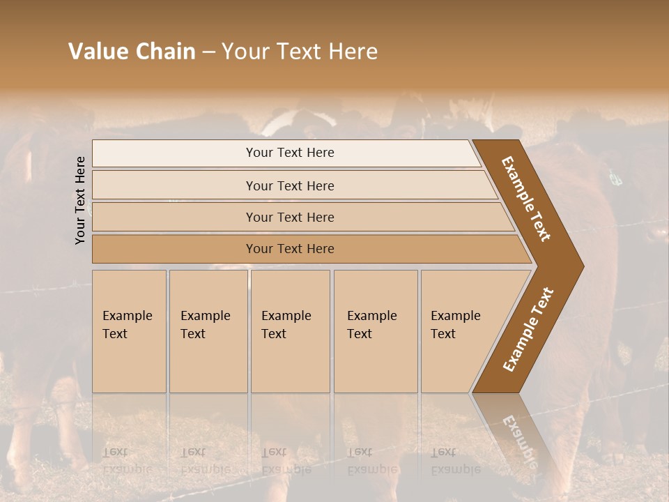 Staring Cow PowerPoint Template