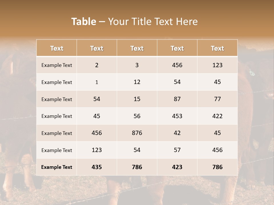 Staring Cow PowerPoint Template