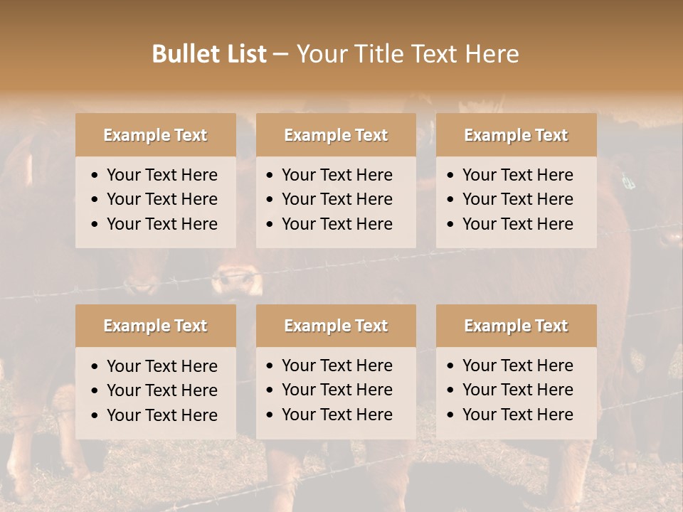 Staring Cow PowerPoint Template