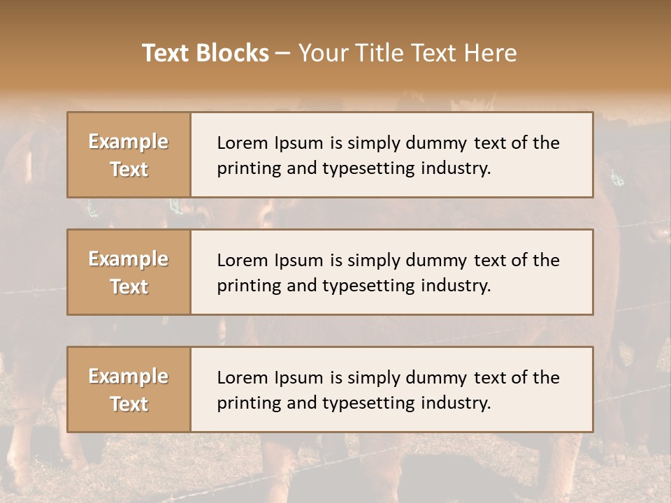 Staring Cow PowerPoint Template
