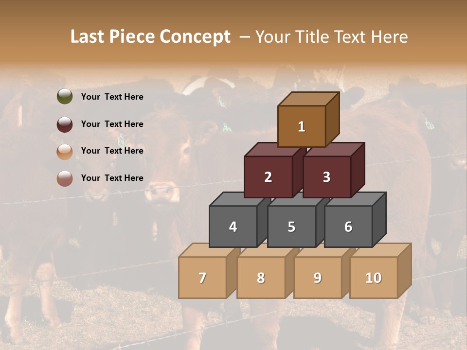 Staring Cow PowerPoint Template