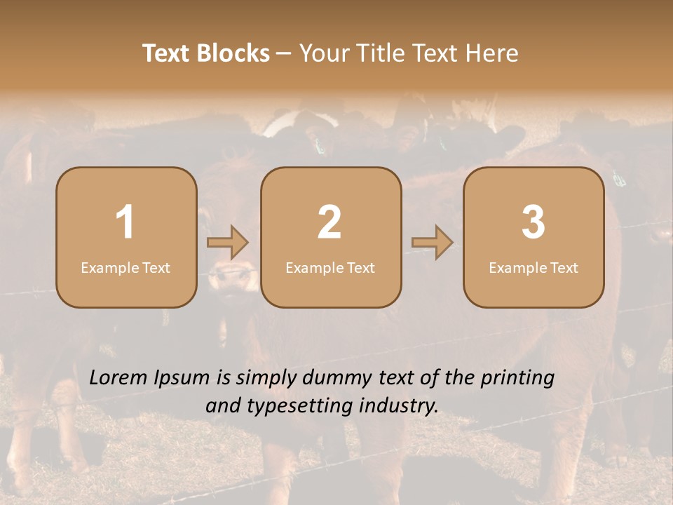 Staring Cow PowerPoint Template