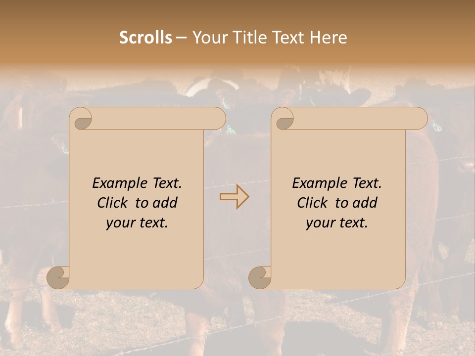 Staring Cow PowerPoint Template
