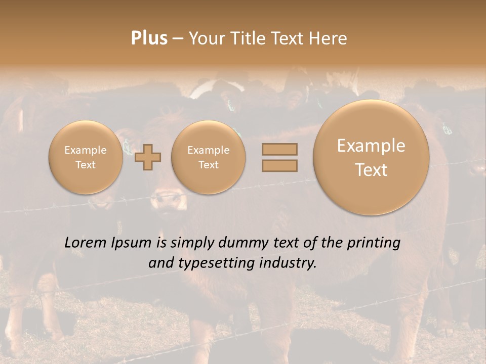 Staring Cow PowerPoint Template