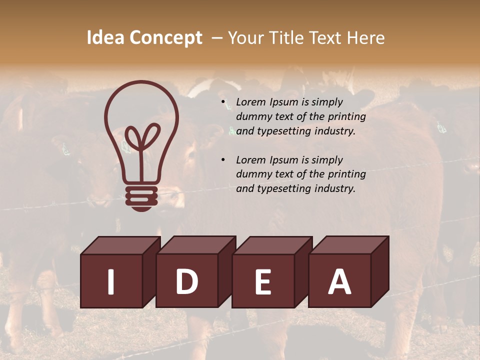 Staring Cow PowerPoint Template