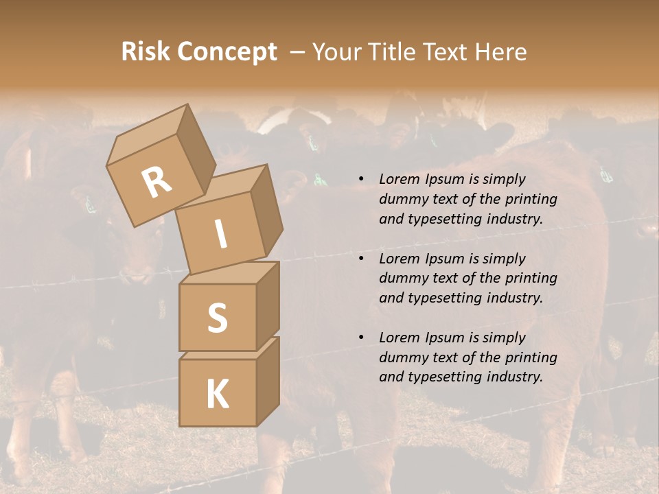 Staring Cow PowerPoint Template