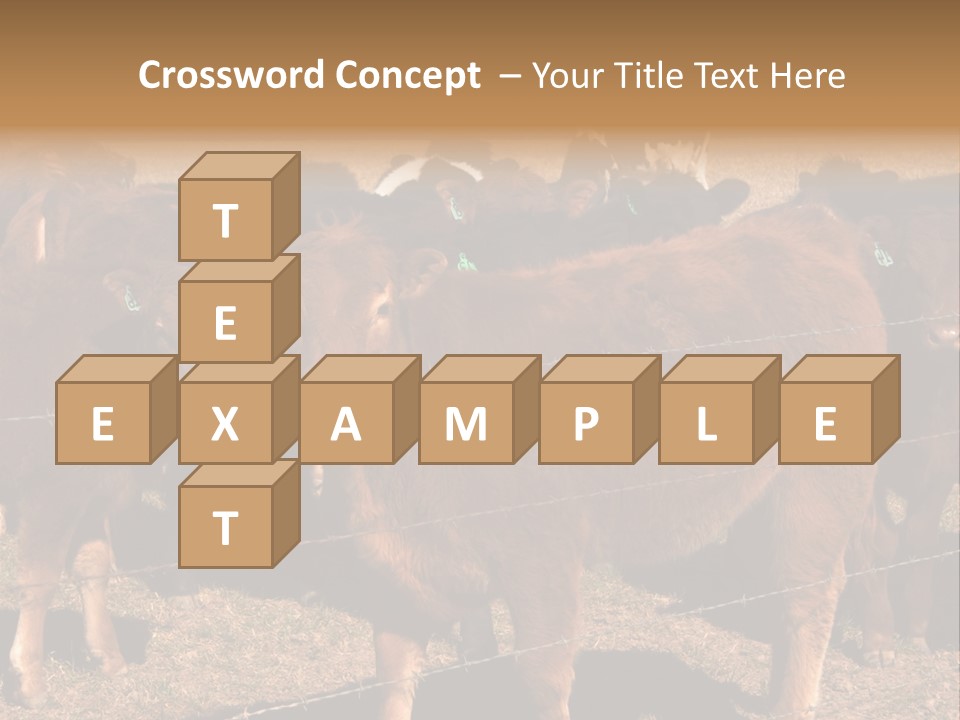 Staring Cow PowerPoint Template